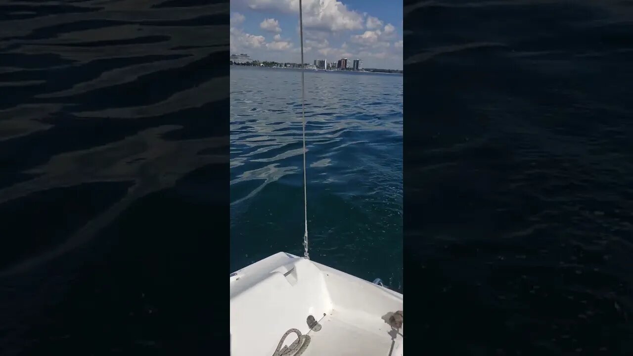 my first ever solo sail