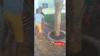 ✅ Pracinha das Mangueiras, # Belezas do Nordeste 🌵🌞