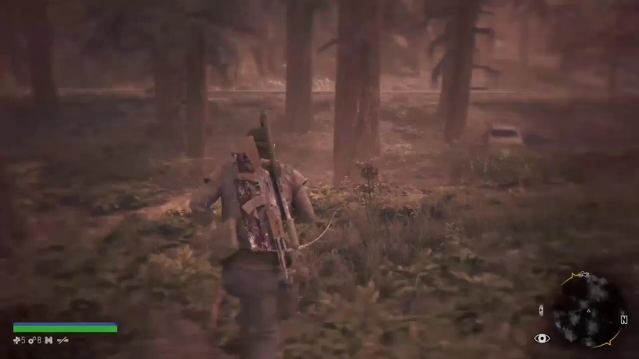 Days Gone