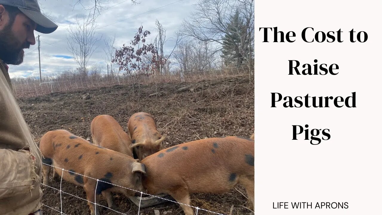 The cost to raise pastured pigs