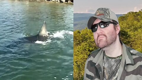 Great White Shark In Massachusetts Salt Pond 2 (Jrepnin) REACTION!!! (BBT)