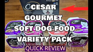 Variety Pack, Cesar Gourmet Dog Food, USA Made