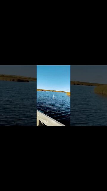 Walking on a Bridge over Water #walking #walk