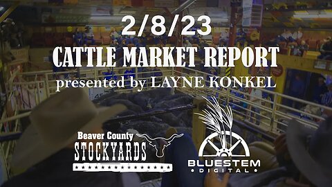 2/8/23 Beaver County Stockyards Cattle Market Report