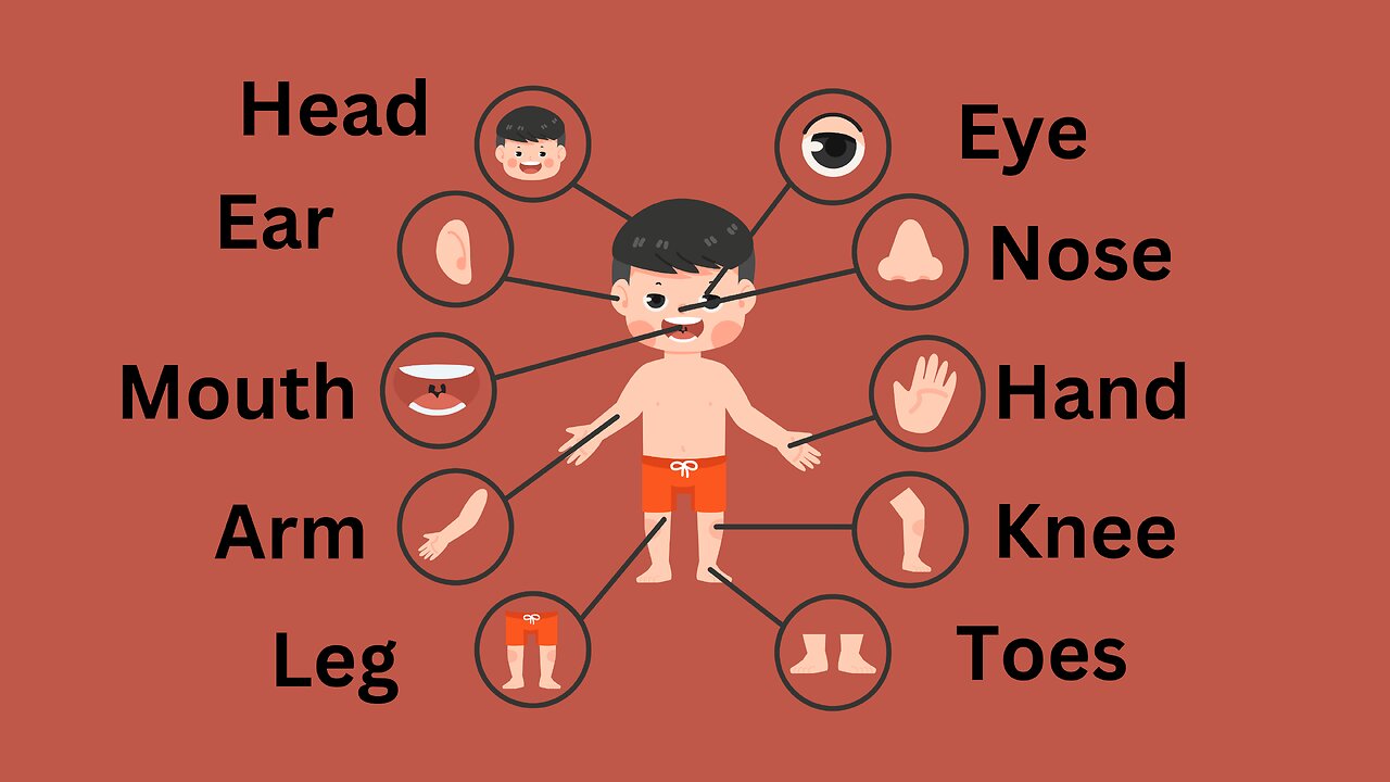 Head Shoulders Knees and Toes Poem| Rhymes for kids #ChildernsFun