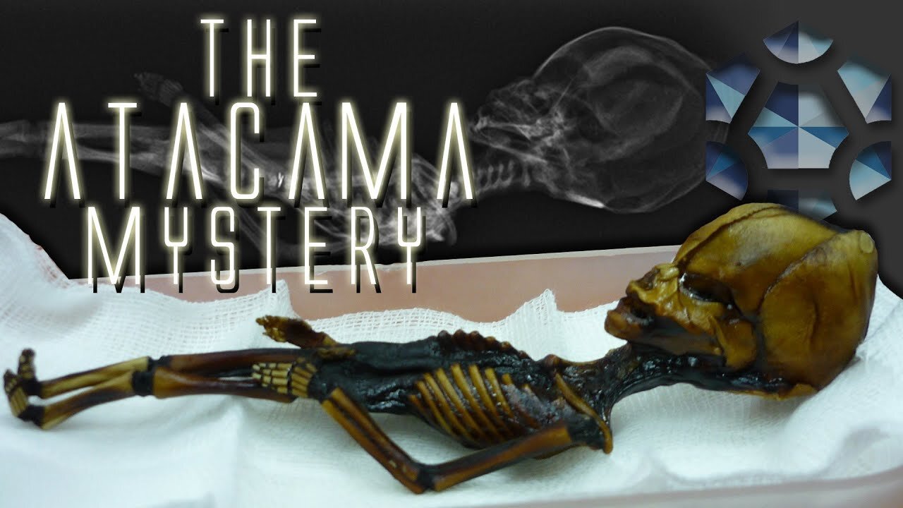 Unsolved Mystery: The Atacama Humanoid with Dr. Steven Greer