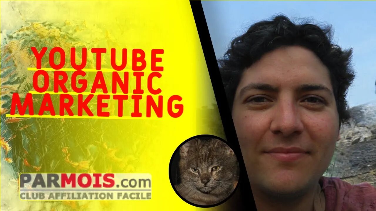 Youtube Organic Marketing