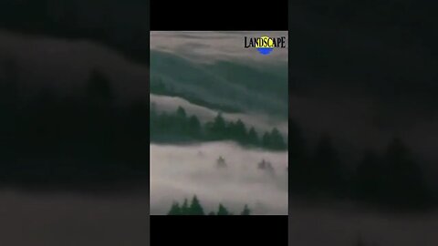 Dreamer by William Aura The Landscape Channel #shorts #relaxingmusic