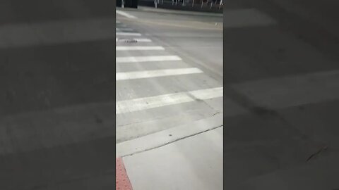 February 12, 2023 #gangstalker kicked me out of the park Pt. 5