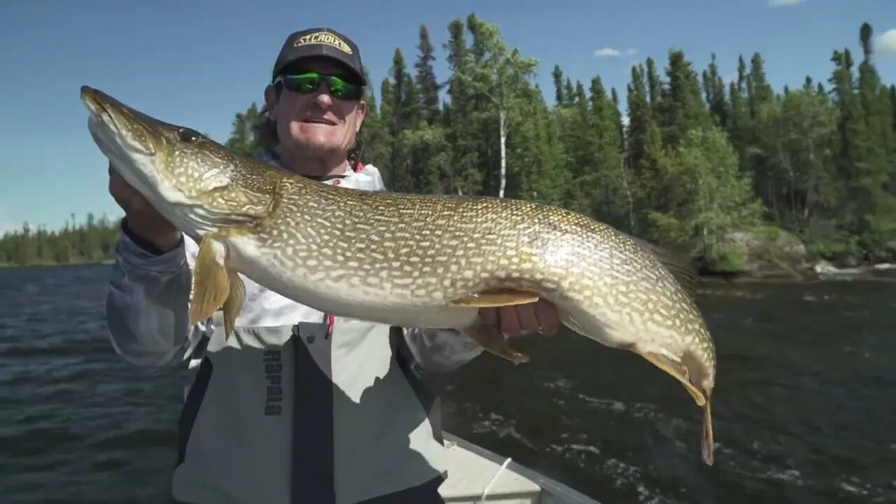 Big Pike in Saskatchewan