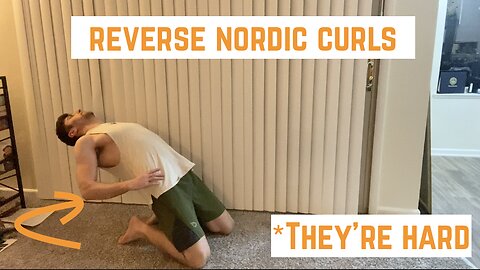 Reverse Nordic Curl