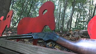 Iron Frame Henry Small Game Hunt