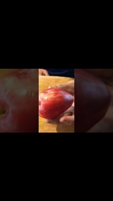 Strange Fruits of the Amazon Rainforest pt.4