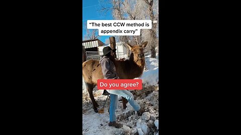 Appendix Carry: Is it the best CCW method?