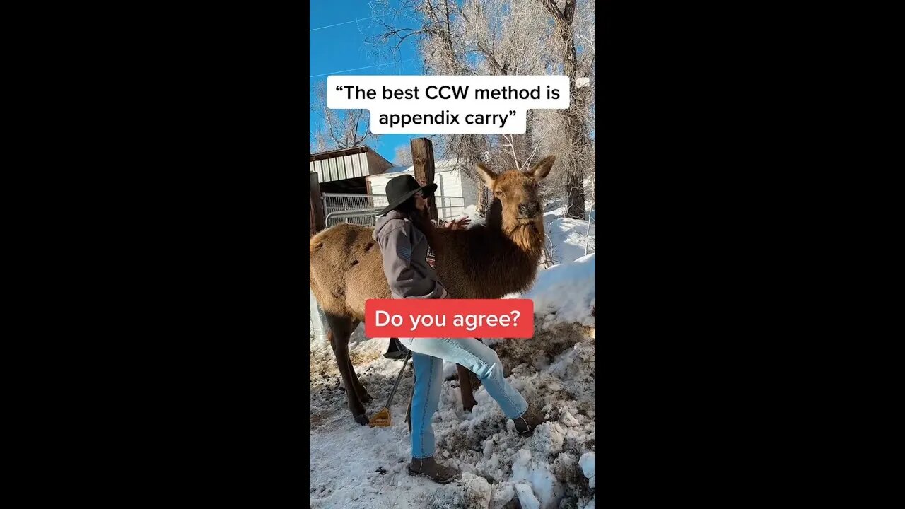 Appendix Carry: Is it the best CCW method?