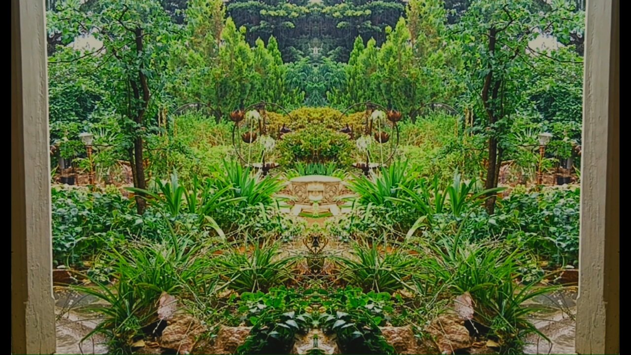 Summer Storm in an Australian Garden (Mirrored)