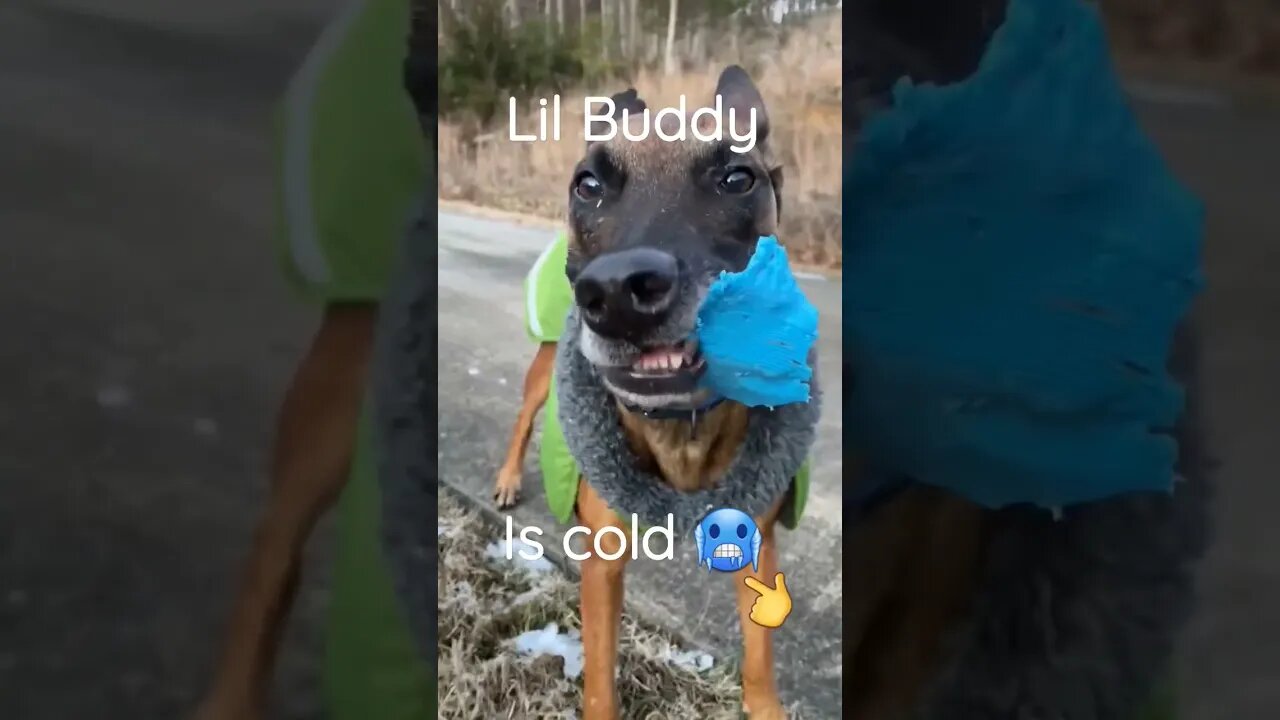 It's that cold outside today