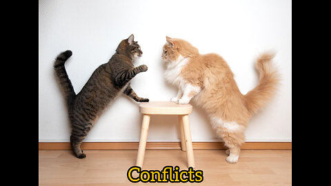 Conflicts