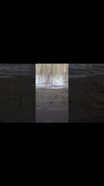 What is going on here?