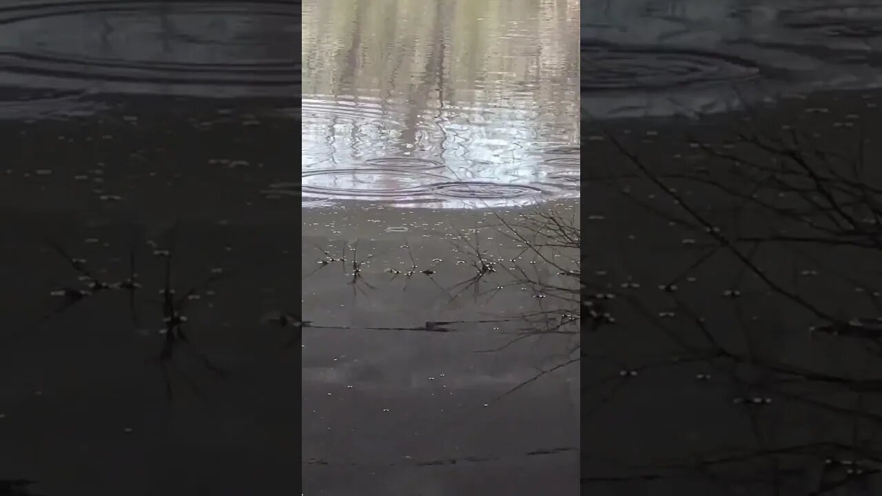 What is going on here?