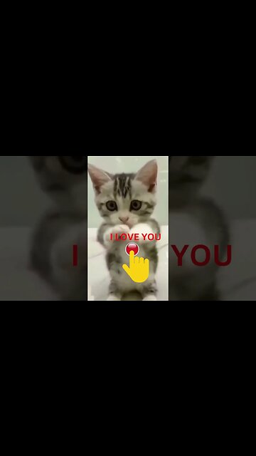 "Three Words That'll Change Your Life? LOVE #shorts"