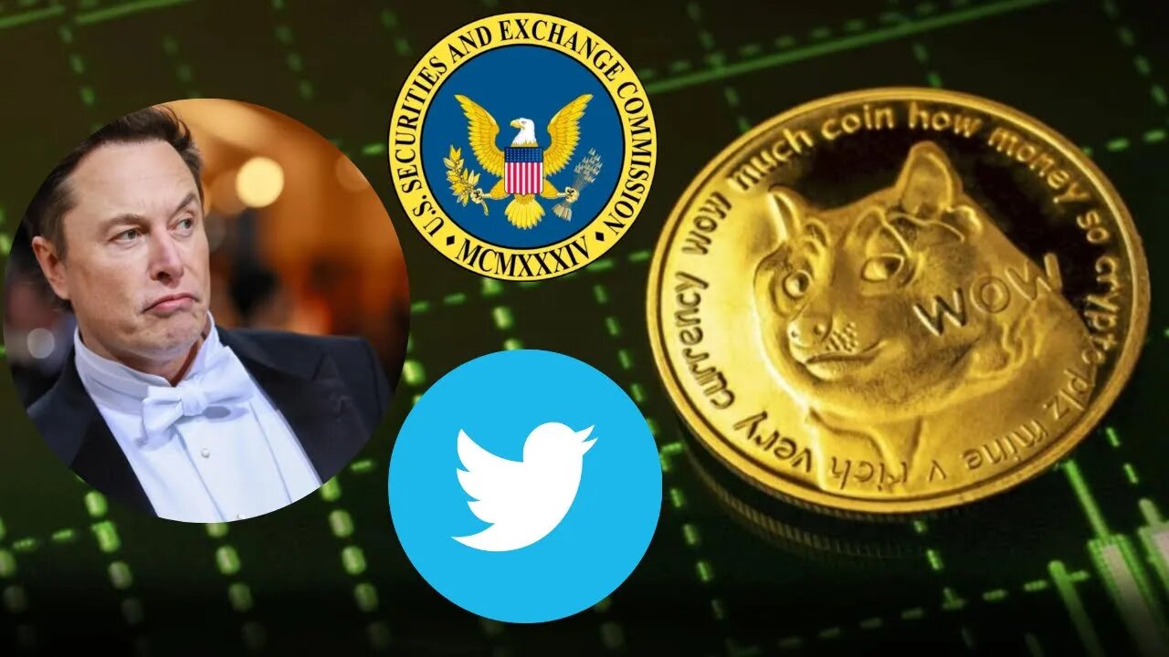 SEC vs Elon Musk | Dogecoin payments on Twitter | A risky move for Elon Musk | Dogecoin vs Twitter