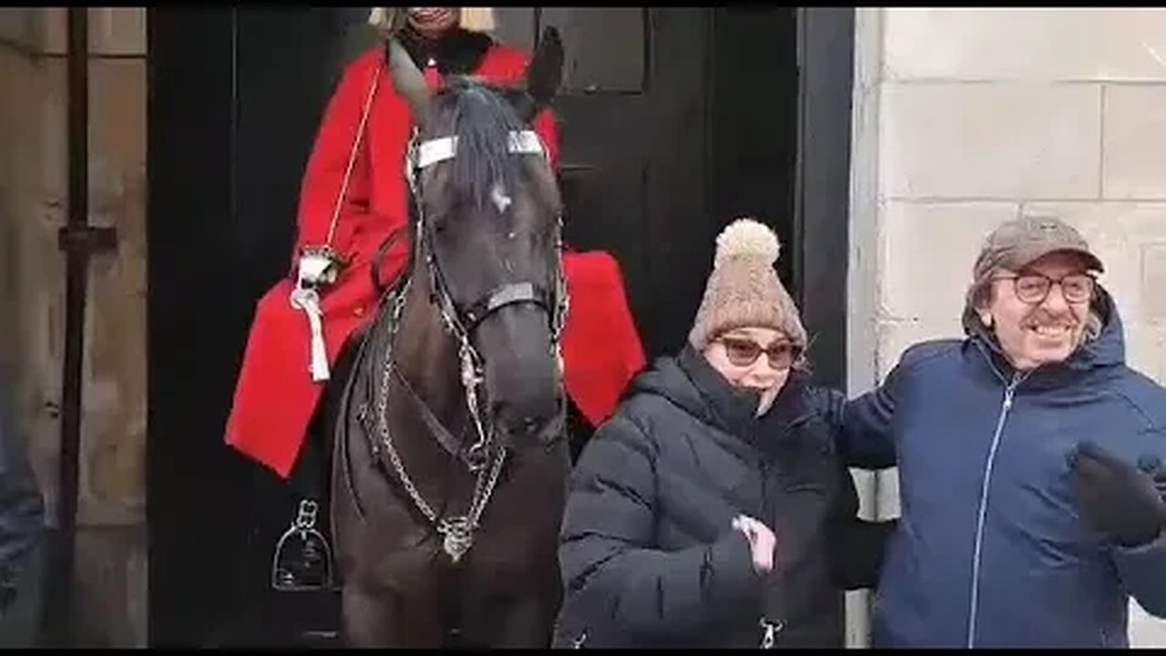 Horse sniffing tourist #horseguardsparade