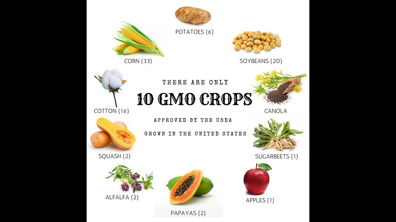 GMO TURN FOOD INTO POISON, BRAIN TUMORS, ORGAN CANCER & BREAST CANCER : THESE CROPS SUCH AS CORN, COTTON, SOY & CANOLA. CONSUMPTION OF SUCH FOODS MAY CAUSE A MASSIVE INCREASE OF CANCER. 🕎Ezekiel 4;10-16 “DEFILED BREAD AMONG THE GENTILES”