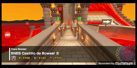 castle bowser