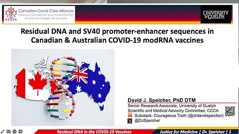 Dr. John Campbell| DNA in RNA vaccines