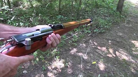 Swiss K31 Woods Walk