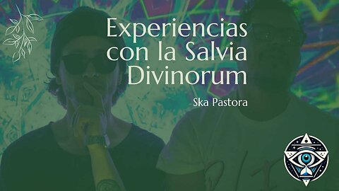 Experiencias con la Salvia Divinorum