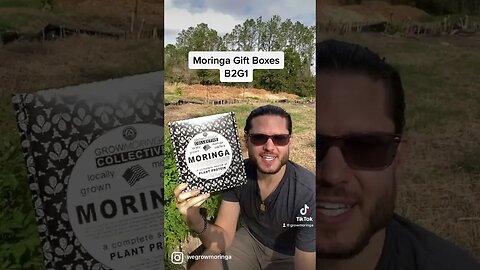 Moringa Season is Almost Here! Grab Seeds and More in the New Gift Box Try Today