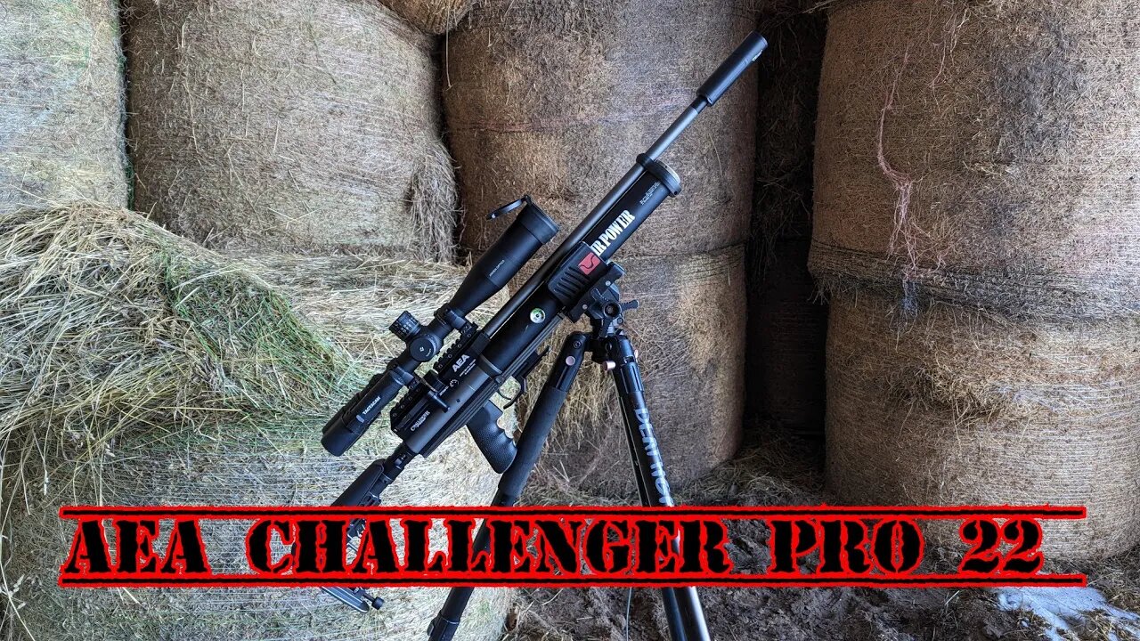 AEA Challenger Pro 22cal