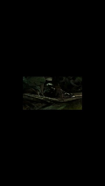 Ring 2 Dying Because I Got Stuck On The Scenery #Shorts