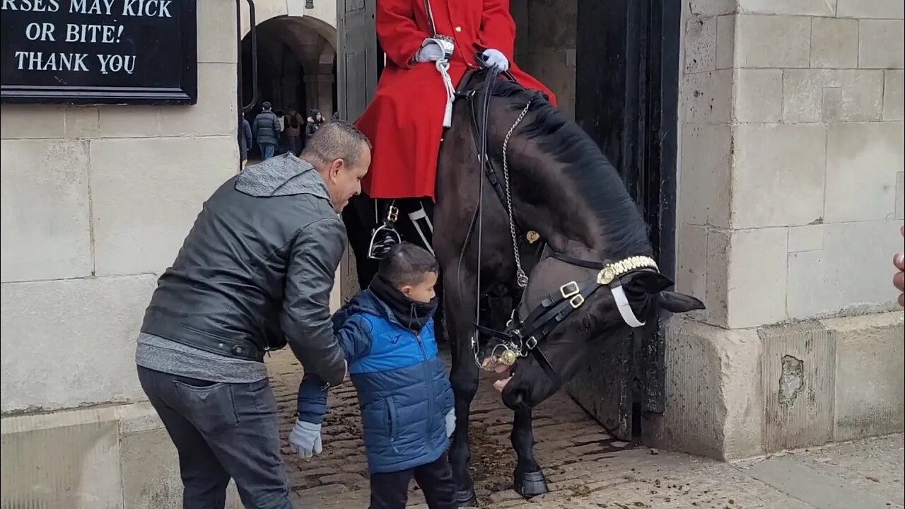 Dad save boy from horses mouth #horseguardsparade