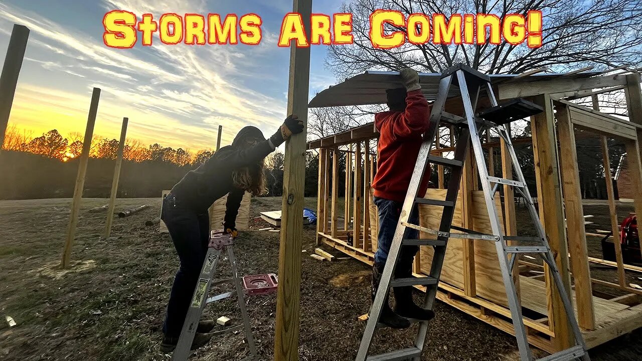 Getting A Roof On The Predator Proof Chicken Coop Before The Big Storm In Mississippi