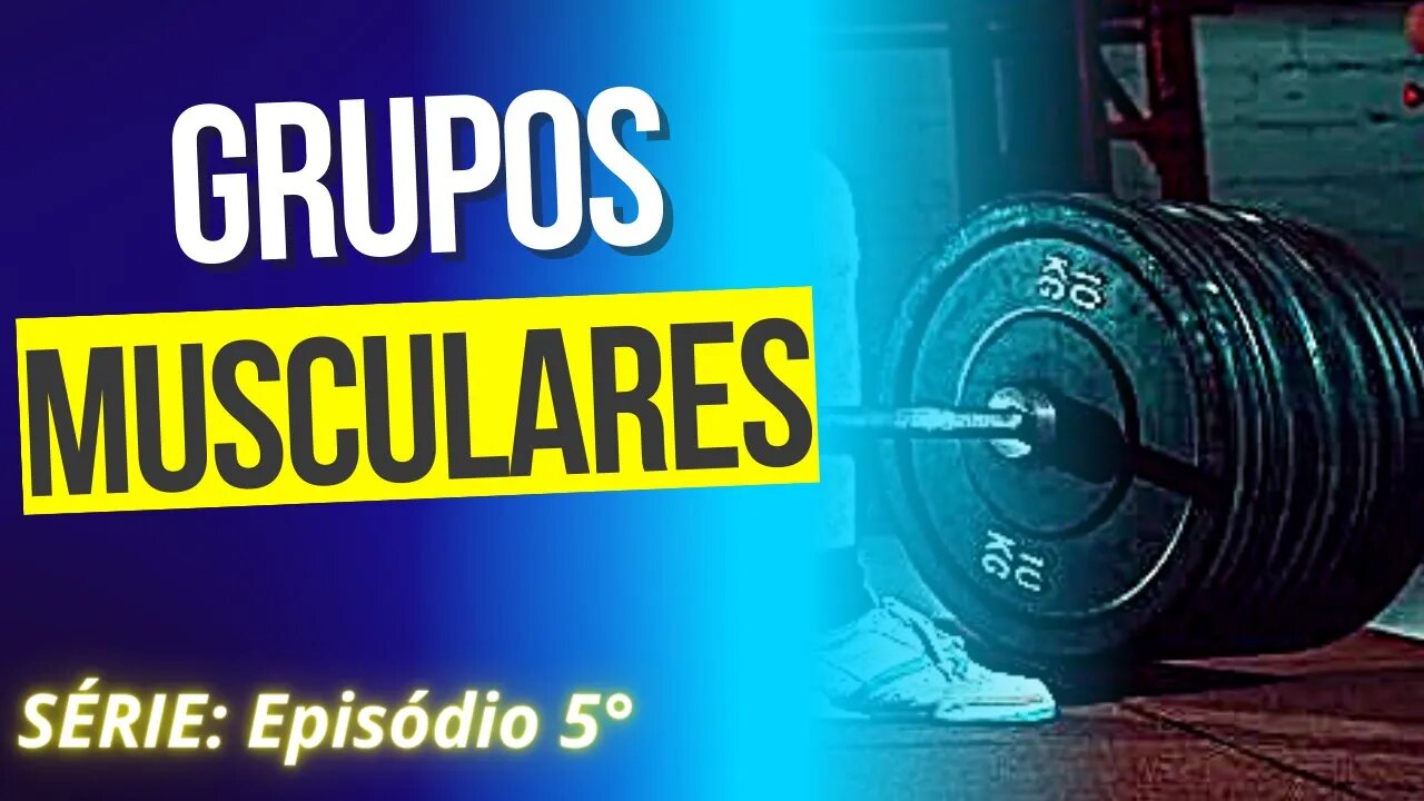 #005 PENSAR EM GRUPOS MUSCULARES | Série: Erros Comuns no Treinamento de Força.