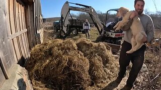 Cleaning Out the Goat Barn