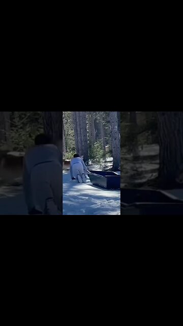 It's not always dirty DIY renovations at the project house! #beekeeping #hooverhives #ottersled