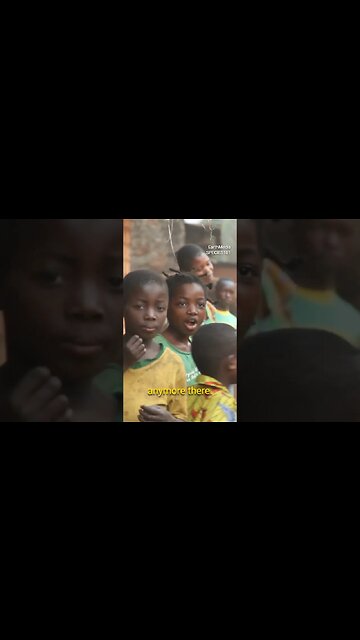 Sad Truth about Private Zoos Feat. Mariana Van Zeller | PowerfulJRE