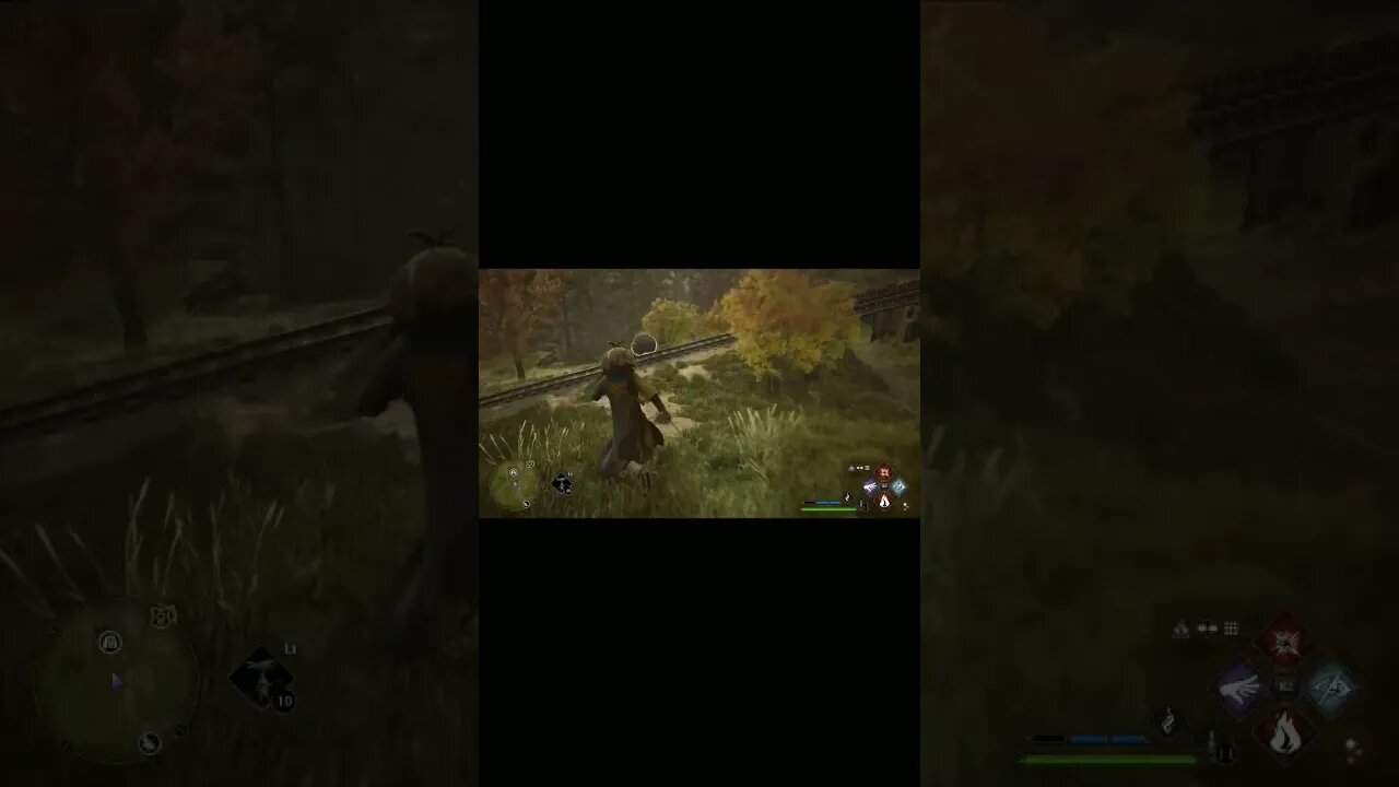 Hogwarts Legacy :) Along came a spider