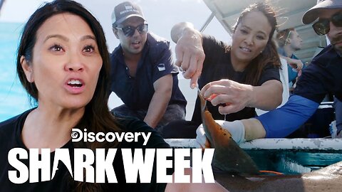 Dr. Pimple Popper Tags a Shark! Shark Week