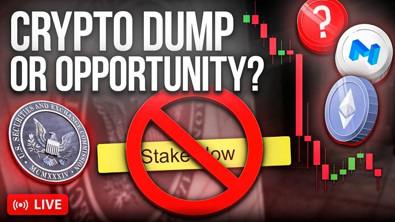 Is this Crypto DUMP A WARNING Or An OPPORTUNITY?