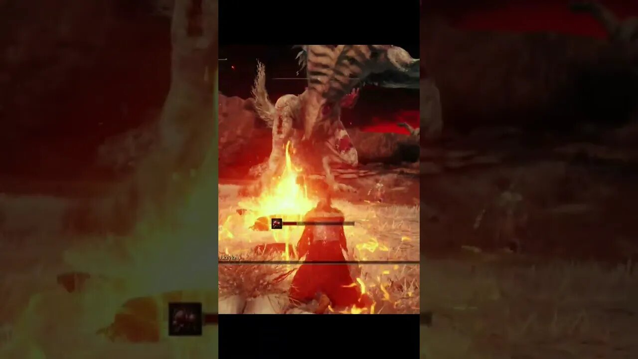 Dragon.... 😳