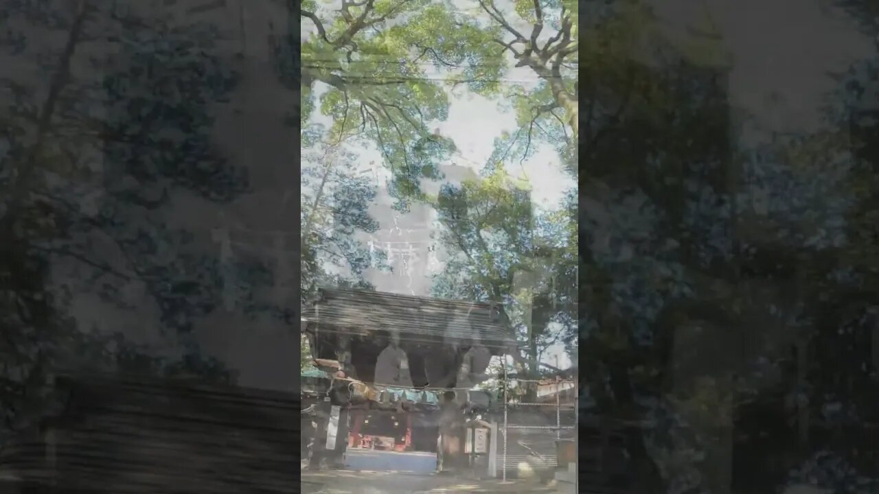 Sanctuary where a nobleman whose name is unknown rests 100 years ago Japan Tokyo Shrine #shorts