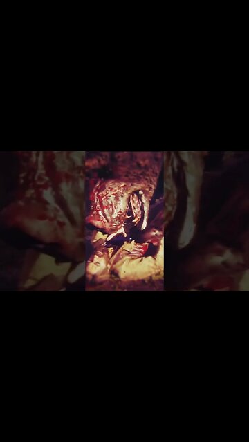 Arthur Morgan vs Legendary Grizzly Bear FULL FIGHT #gaming #rdr2 #shorts