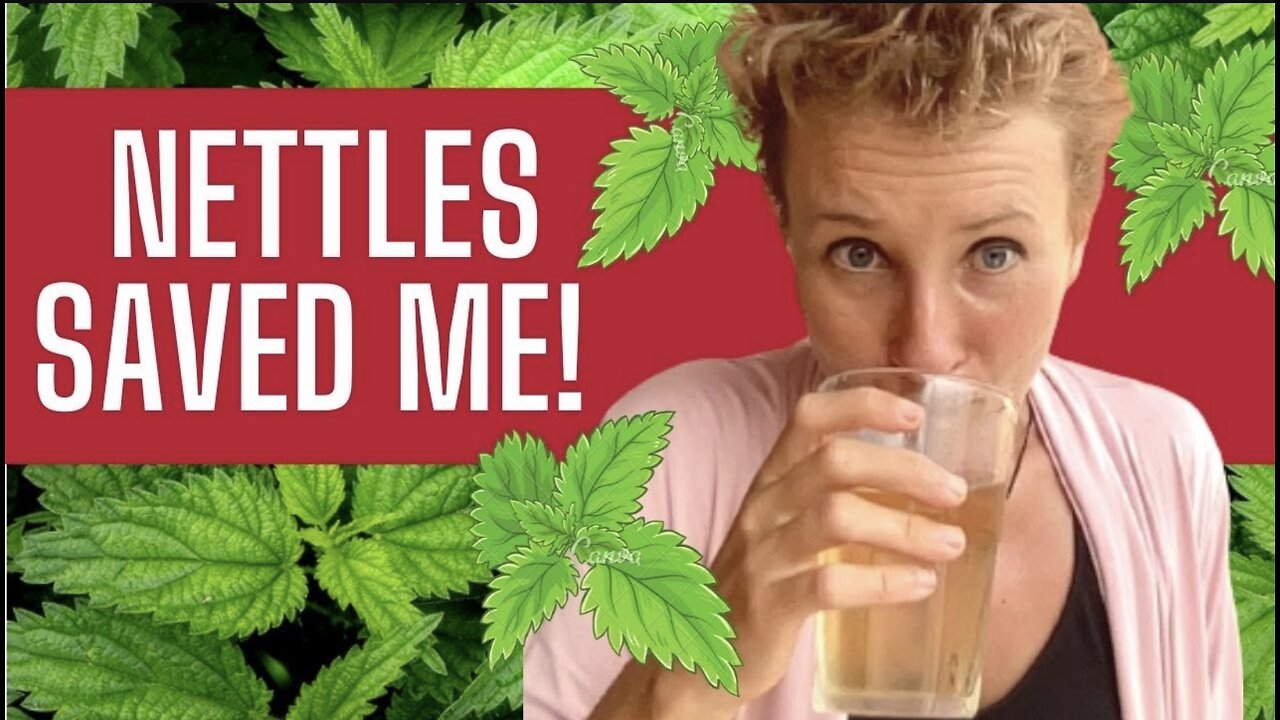 Nettle Tea for Allergies Relief - Why it Works for EVERYONE!