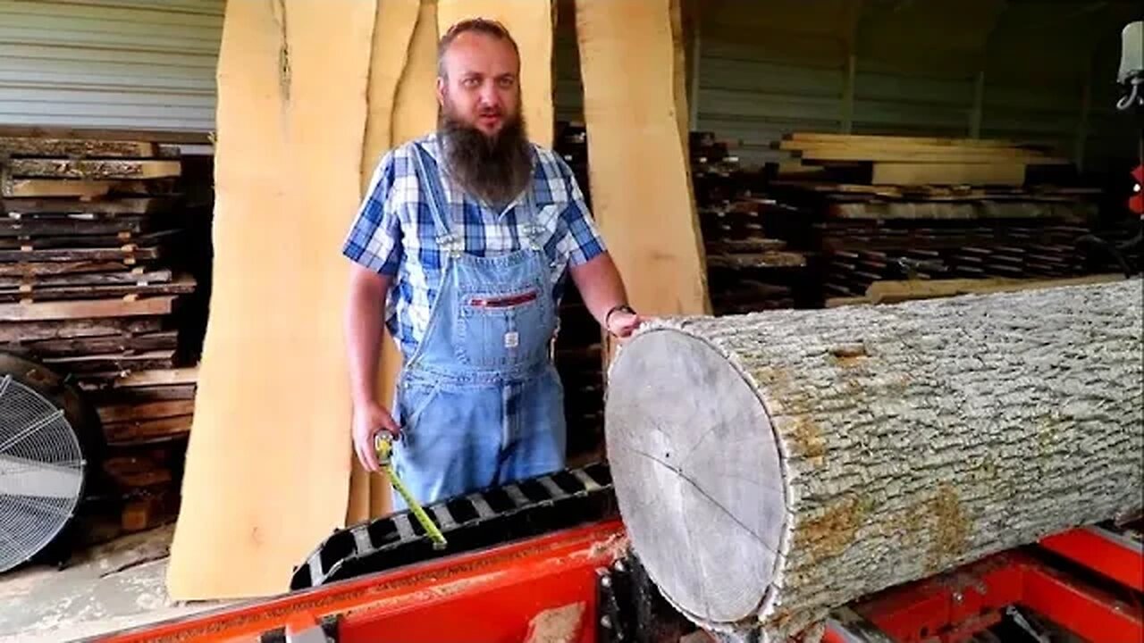 I have Never Done This On My Sawmill, Harvesting An Endangered Tree