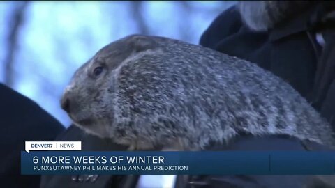 Six more weeks of winter? Flatiron Freddy makes his prediction